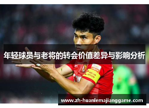 年轻球员与老将的转会价值差异与影响分析